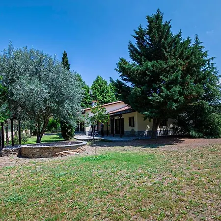 Fourka Oasis By Travel Pro Services - Halkidiki
