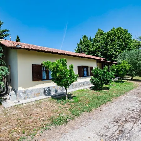 Fourka Oasis By Travel Pro Services - Halkidiki Hébergement de vacances